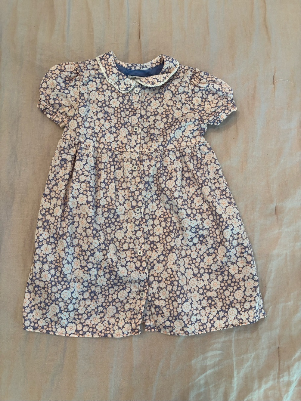 Amazon Essentials x Sofia Grainge Floral Peterpan Collar Dress